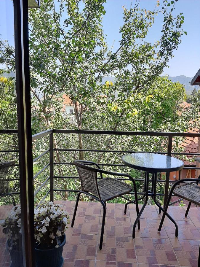 Apartmani Ogi I Ana Bajina Basta Kültér fotó