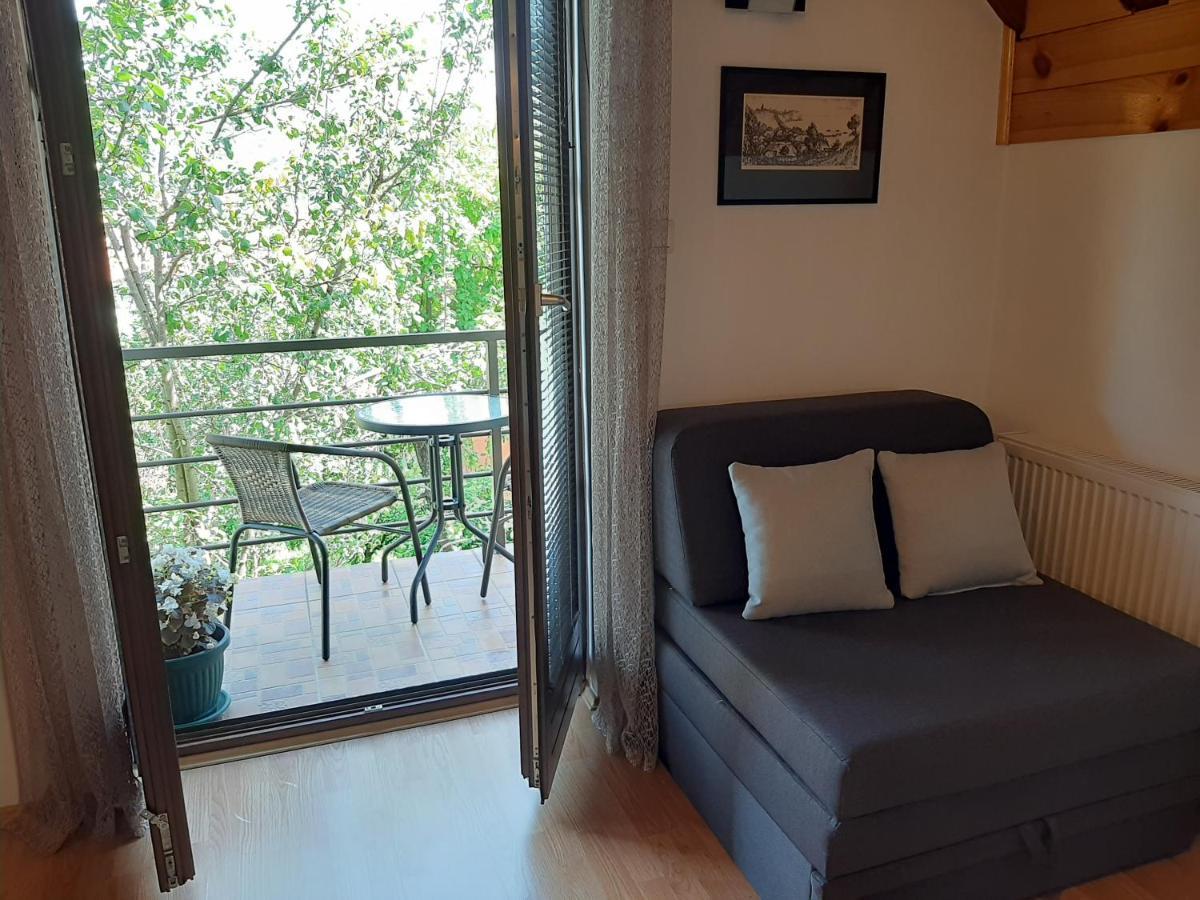 Apartmani Ogi I Ana Bajina Basta Kültér fotó