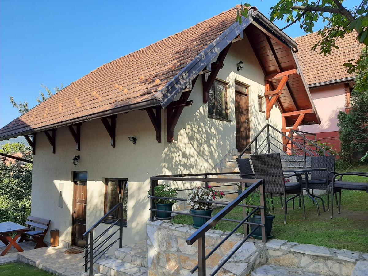 Apartmani Ogi I Ana Bajina Basta Kültér fotó