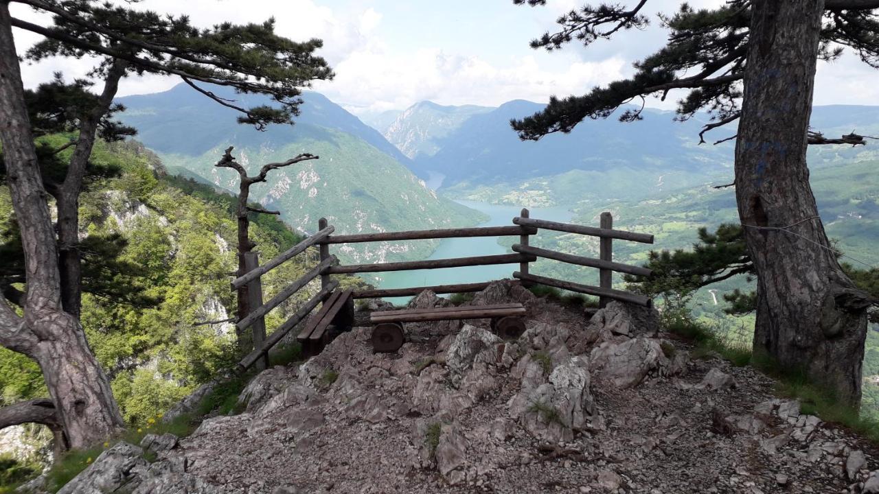 Apartmani Ogi I Ana Bajina Basta Kültér fotó