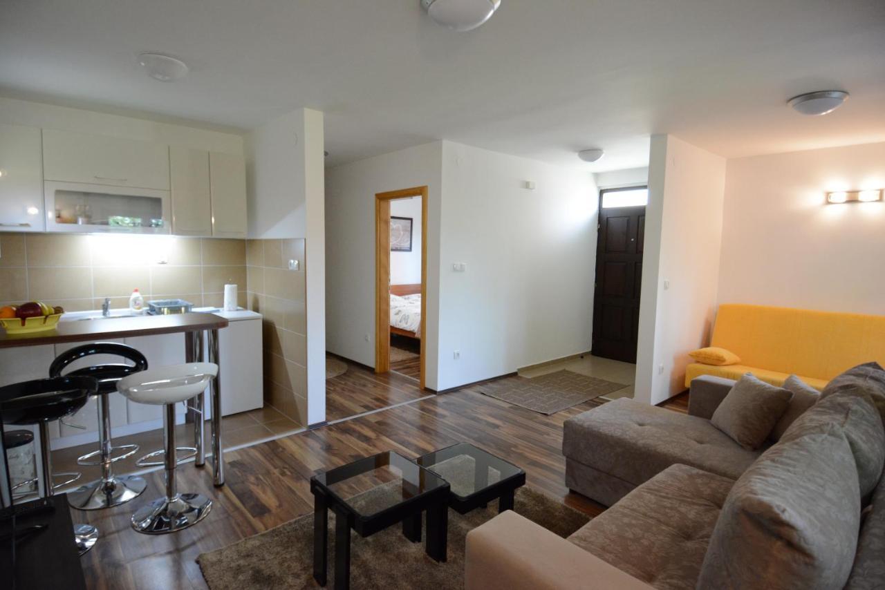 Apartmani Ogi I Ana Bajina Basta Kültér fotó